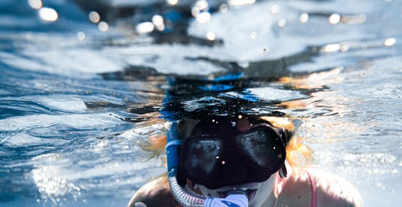 Bali:Lovina Dolphin Watching, Swim & Snorkeling Tour