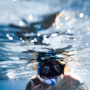 Bali: Lovina Dolphin Watching, Swim & Snorkeling Tour