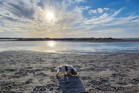 Djerba: Ride to the Pink Flamingo Peninsula by Electric Bike
