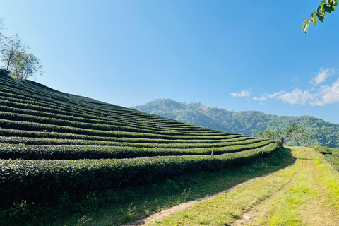 Chiang Rai: 7 Must-See Spots Tickets & Lunch Included Chiang Rai: 7 Must-See Spots Tour with Tickets and Lunch