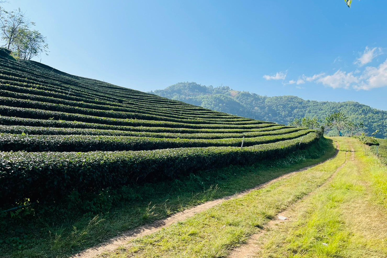 Chiang Rai: 7 Must-See Spots Tickets & Lunch Included Chiang Rai: 7 Must-See Spots Tour with Tickets and Lunch