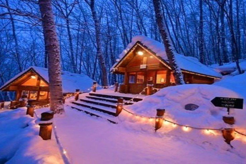 Sapporo: Biei & Furano Private Tour with Hot Spring