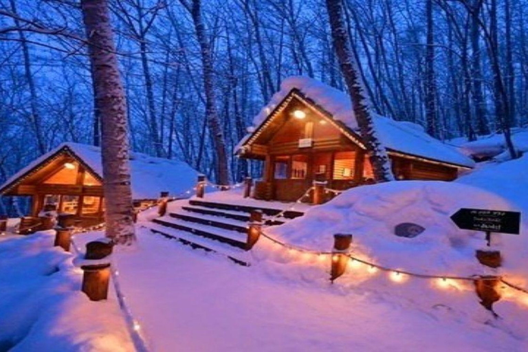 Sapporo: Biei & Furano Private Tour with Hot Spring