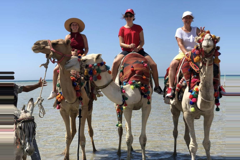 Hurghada: Desert & Beach Camel Ride with Transfers