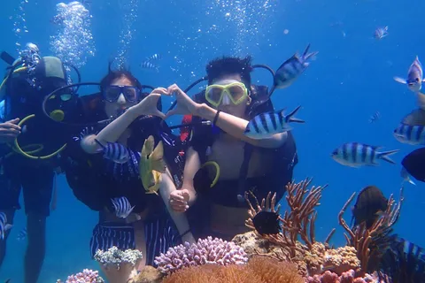 Nha Trang: Discover Scuba Diving voor niet-gecertificeerde duikers