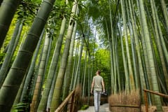 Ab Tokio: Private Tagestour nach Kamakura & Enoshima