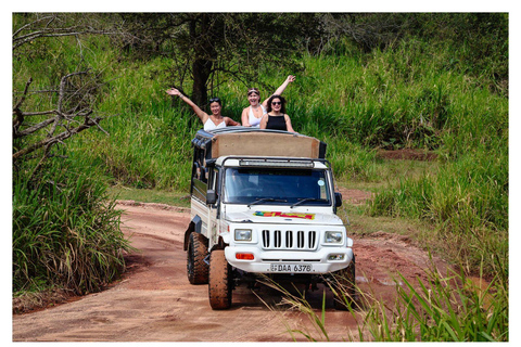 Wild Elephant Safari Tour Minneriya, Kaudulla & Hurulu ECO Start from Dambulla
