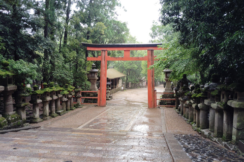 奈良：雾霭中与鹿共行的神圣晨间漫步奈良：雾中与鹿共行的神圣晨间漫步