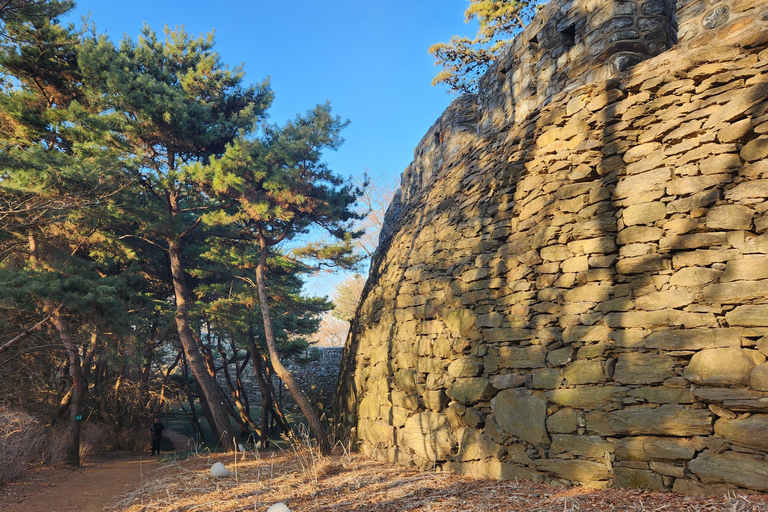 Seúl: Servicios de un lugareño por un día (Trámites/Tour/Diversión)