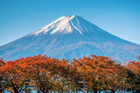 Tokyo Full and Half Day Sightseeing Tour with Mount Fuji Tokyo: 4 Hours Private City Sightseeing Tour with Tour Guide