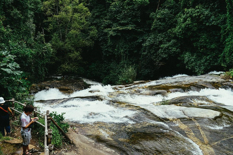 Trekking w Parku Narodowym Doi Inthanon i Pha Dok Siew Trail TrekWycieczka do Parku Narodowego Doi Inthanon i Pha Dok Siew Trail Trek