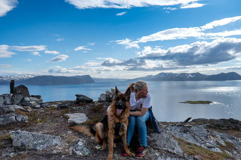 From Tromsø: Experience Vannøya Island Wild, Remote & Real
