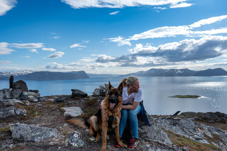 From Tromsø: Experience Vannøya Island Wild, Remote & Real
