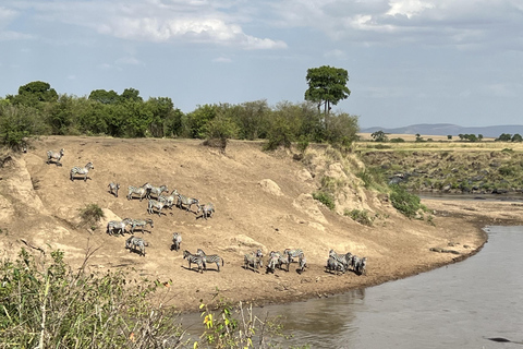 Viaggio di un giorno da Nairobi a Maasai Mara - AWNairobi: Escursione di un giorno nella Riserva Nazionale di Maasai Mara - Privato