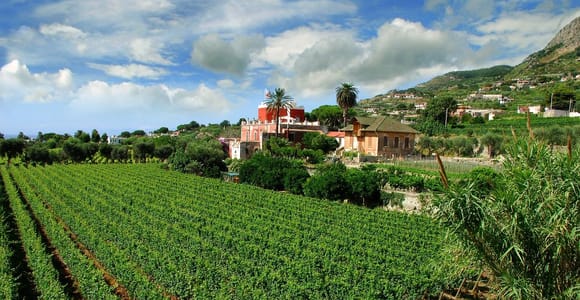Ischia: Island Tour with Wine Tasting in a Typical Winery