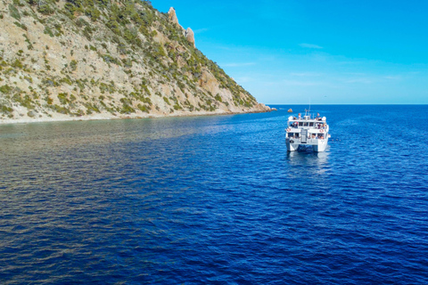 Ibiza: Crociera in barca a Formentera con pagaia, snorkeling e pranzoIbiza: Crociera in barca a Formentera con snorkeling e pranzo