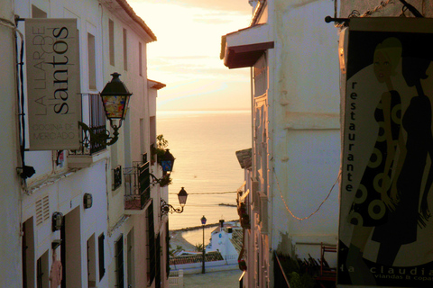 Alicante Shared Tour Old town, Elche & Huerto del Cura Grdns