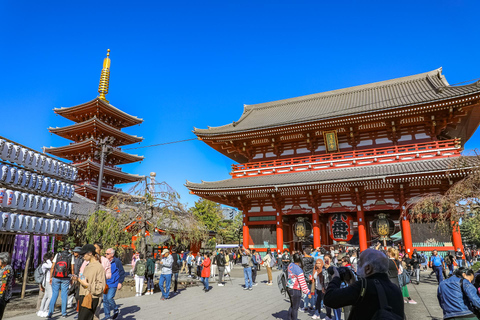 Excursion d&#039;une journée à Tokyo ! Visite privée personnalisable avec des guides expertsCircuit de 7 heures