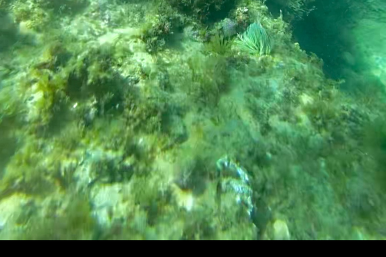 Stand Up Paddle Tour - Grottes et plongée en apnée