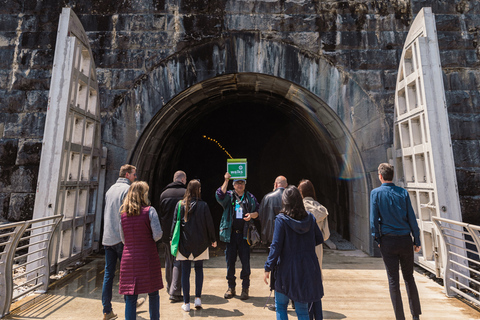 Niágara: Recorrido por la Central Eléctrica y el Túnel Bajo las Cataratas