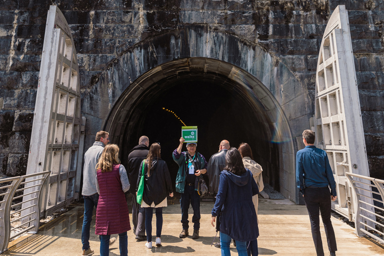 Niágara: Recorrido por la Central Eléctrica y el Túnel Bajo las Cataratas