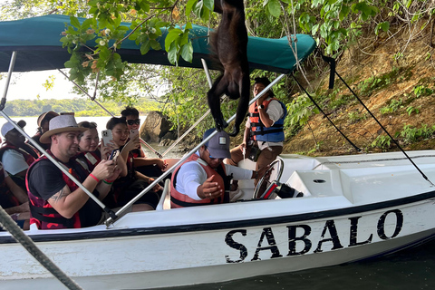 Città di Panama: Tour del Canale di Panama e dell&#039;Isola delle ScimmieCittà di Panama: Canale di Panama e tour del lago Gatun