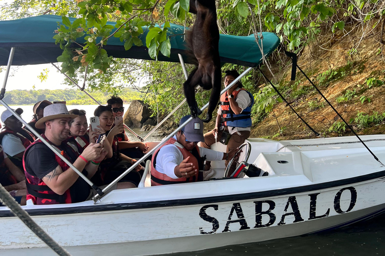 Città di Panama: Tour del Canale di Panama e dell&#039;Isola delle ScimmieCittà di Panama: Canale di Panama e tour del lago Gatun