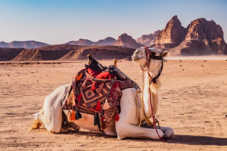 Z Akaby i Ammanu: 2-dniowa prywatna wycieczka piesza do Wadi RumZ Akaby