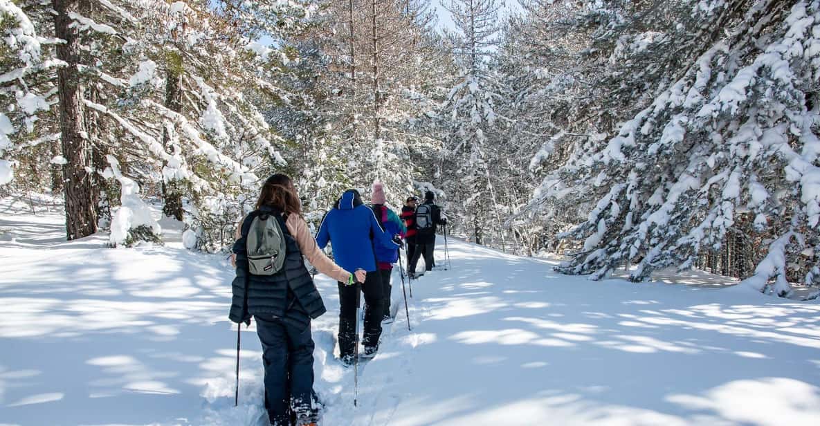 Afbeelding 1 van Nationaal park Sila: sneeuwschoenwandeling met gids voor gezinnen.