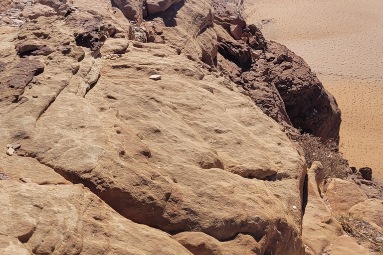 Wadi Rum: Jeep Tour with Bedouin Camp Overnight Stay