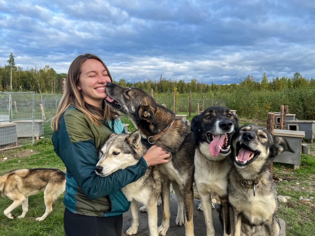 Visit Talkeetna Summer Sled Dog Kennel Tour in Talkeetna, Alaska, USA
