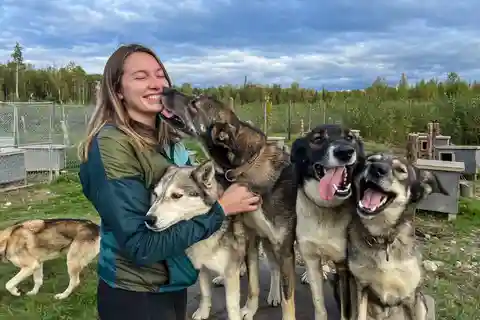 Summer Sled Dog Kennel Tour
