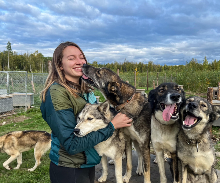 Talkeetna: Summer Sled Dog Kennel Tour