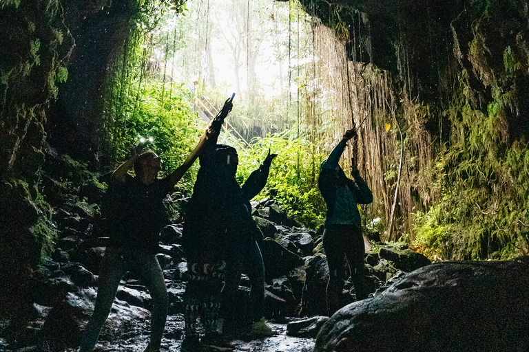 Mauna Kea: Stellar Explorer Tour from Hilo