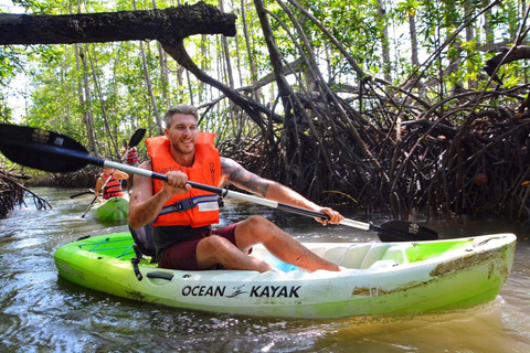 Uvita : Parc national Marino Ballena Kayak de mer et plongée en apnéeParc national Marino Ballena Kayak de mer et plongée en apnée