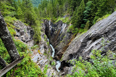 جولة بدراجة كهربائية في وادي روزنلاوي من إنترلاكن