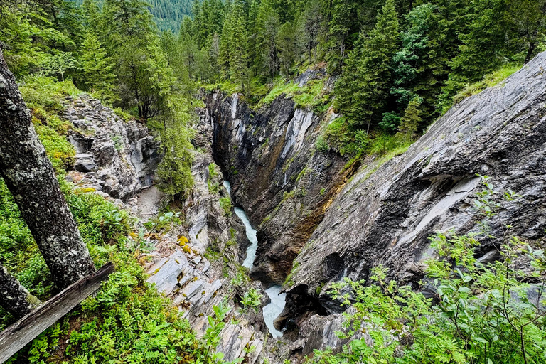 جولة بدراجة كهربائية في وادي روزنلاوي من إنترلاكن