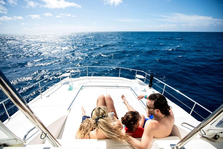 Waikiki Exclusive Snorkel + Lunch