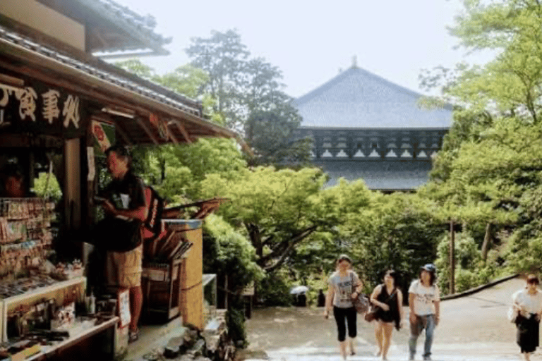 Nara: Private Full-Day Tour with Licensed Guide