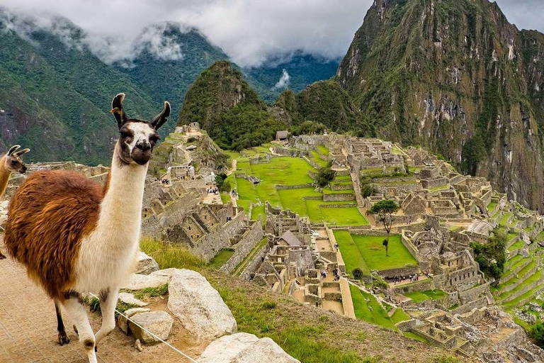 Peru in 16 Days || Lima - Cusco - Puno - Bolivia || Hotel***