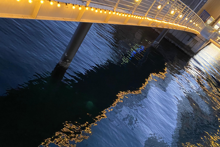 Oslo: Private Vintage Walking Tour with Photos Private Vintage Oslo Walk & Aesthetic Photos