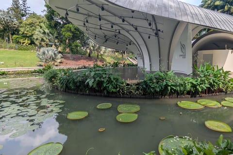 Singapore Botanic Gardens & Orchid Garden Private Tour - Image 2