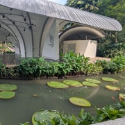 Singapore Botanic Gardens & Orchid Garden Private Tour