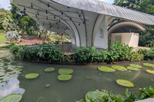 Giardini botanici di Singapore e Giardino delle orchidee: tour privato