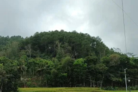 Avventura al Tempio di Selogriyo: trekking tra risaie e rafting sul fiume EloAvventura al tempio di Selogriyo: trekking nella risaia e rafting sul fiume Elo