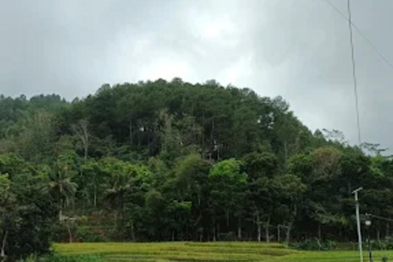 Avventura al Tempio di Selogriyo: trekking tra risaie e rafting sul fiume EloAvventura al tempio di Selogriyo: trekking nella risaia e rafting sul fiume Elo