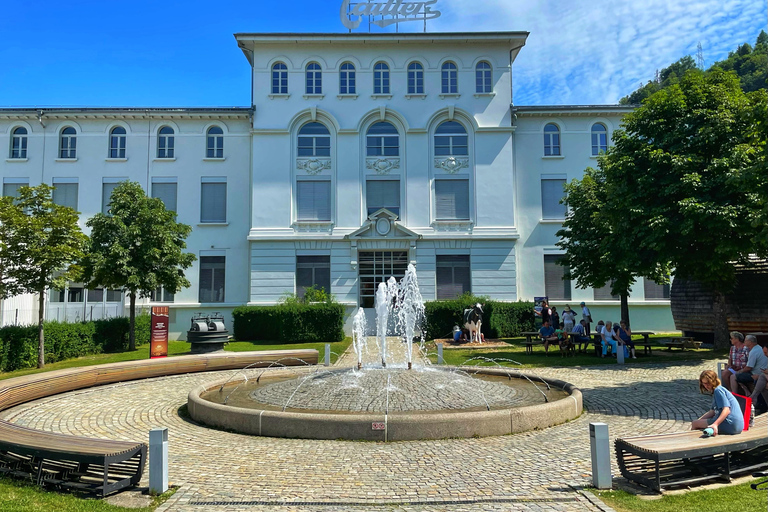 Depuis Genève : Château de Gruyères, fromage, chocolat et Montreux