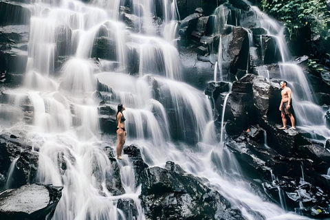 East Bali Private Tour: Lempuyang, Tirta Gangga & Waterfall Private Tour with Hotel Transfer – No Entry Tickets