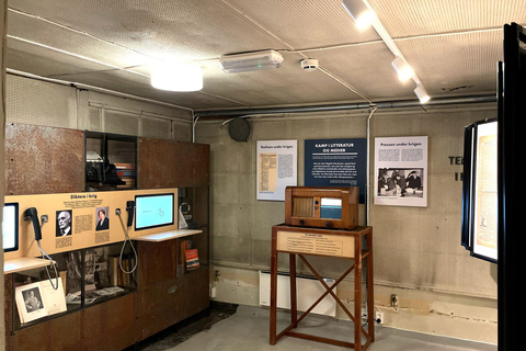 Oslo: World War II Walking Tour with Underground Bunker