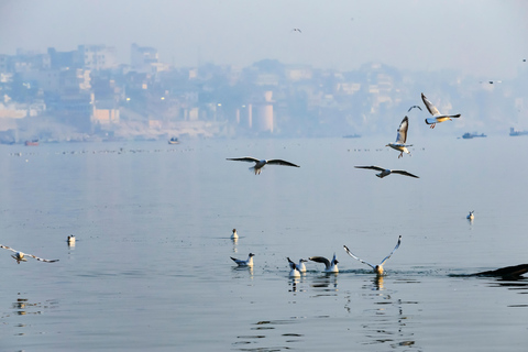 Varanasi: Serviço de traslado do aeroporto